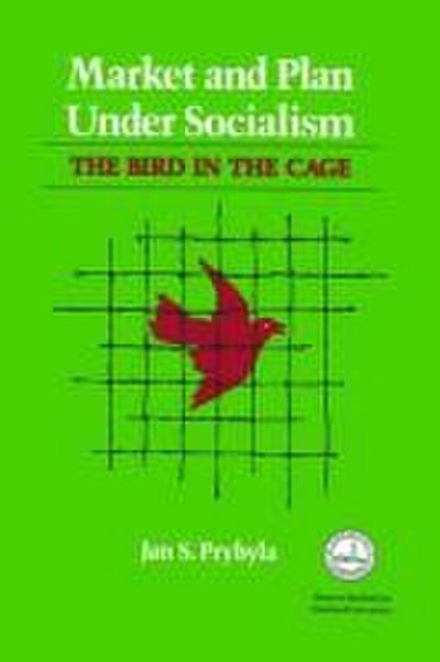Market and Plan Under Socialism
