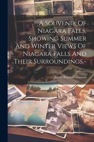 A Souvenir Of Niagara Falls, Showing Summer And Winter Views Of Niagara Falls And Their Surroundings.
