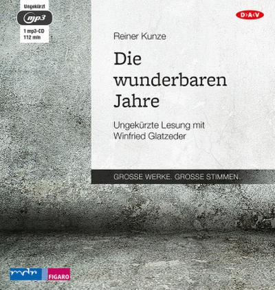 Die wunderbaren Jahre, 1 Audio-CD, 1 MP3