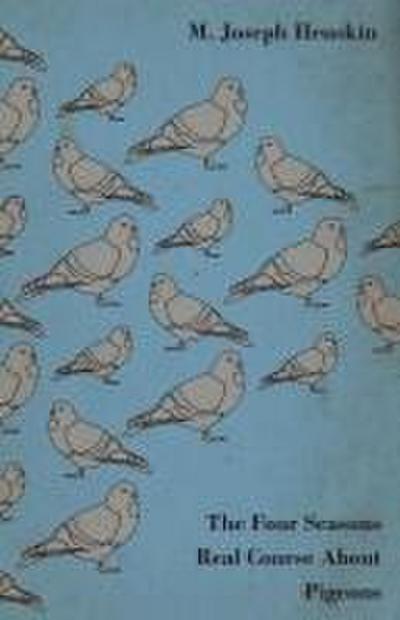 The Four Seasons Real Course About Pigeons
