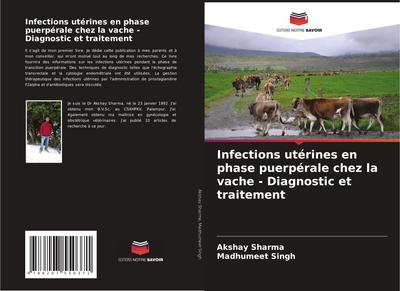 Infections utérines en phase puerpérale chez la vache - Diagnostic et traitement