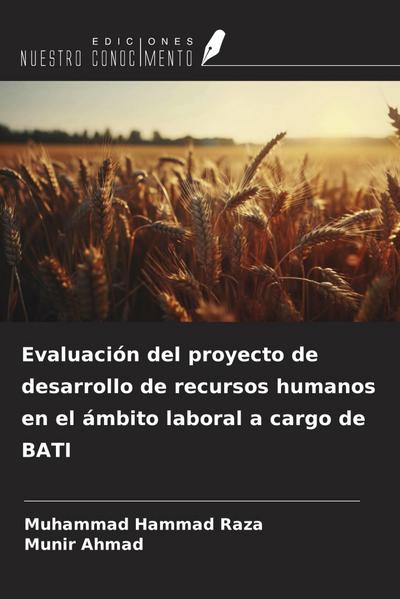 Evaluación del proyecto de desarrollo de recursos humanos en el ámbito laboral a cargo de BATI