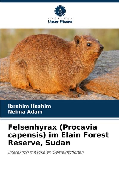 Felsenhyrax (Procavia capensis) im Elain Forest Reserve, Sudan