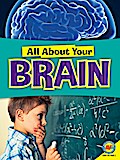 Brain