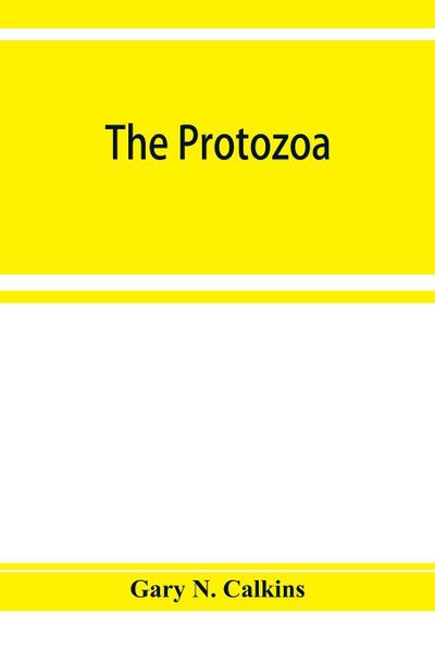 The Protozoa
