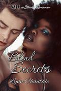 Blind Secrets (VIBE a Steamy Romance, #2)