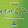 LINDER Biologie: Proteinbiosynthese