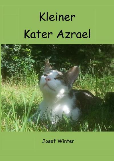 Kleiner Kater Azrael