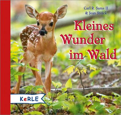 Kleines Wunder im Wald