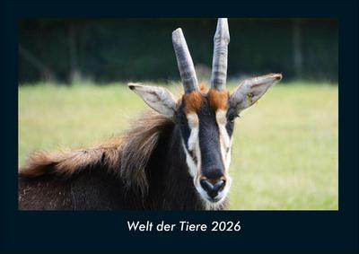 Welt der Tiere 2026 Fotokalender DIN A4