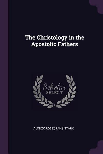 CHRISTOLOGY IN THE APOSTOLIC F