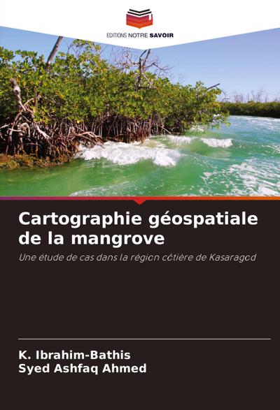 Cartographie géospatiale de la mangrove