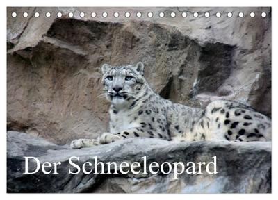 Der Schneeleopard (Tischkalender 2024 DIN A5 quer), CALVENDO Monatskalender