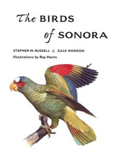 Birds of Sonora