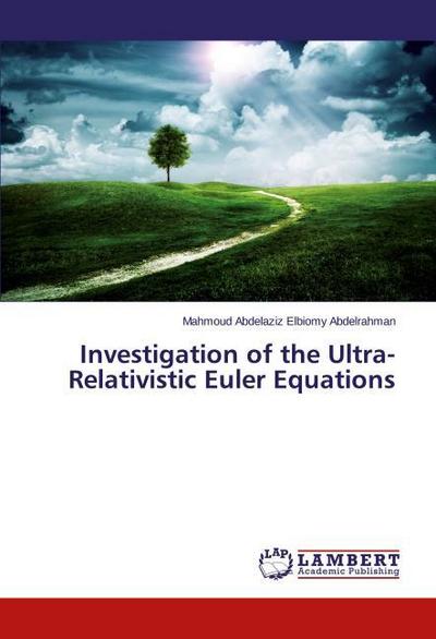 Investigation of the Ultra-Relativistic Euler Equations