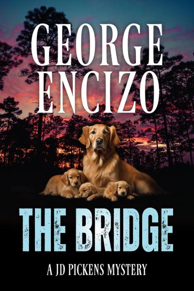 The Bridge (JD Pickens Mysteries, #6)