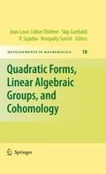 Quadratic Forms, Linear Algebraic Groups, and Coho