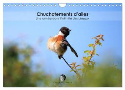 Chuchotements d’ailes - Une année dans l’intimité des oiseaux (Calendrier mural 2026 DIN A4 vertical), CALVENDO calendrier mensuel