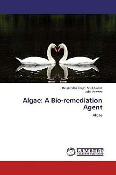 Algae: A Bio-remediation Agent
