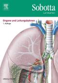 Sobotta Lernkarten Organe und Leitungsbahnen, Lernkarten