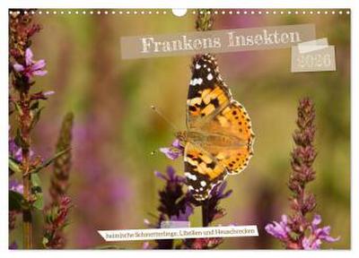 Frankens Insekten (Wandkalender 2026 DIN A3 quer), CALVENDO Monatskalender