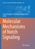 Molecular Mechanisms of Notch Signaling