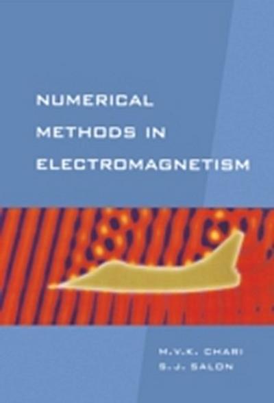 Numerical Methods in Electromagnetism