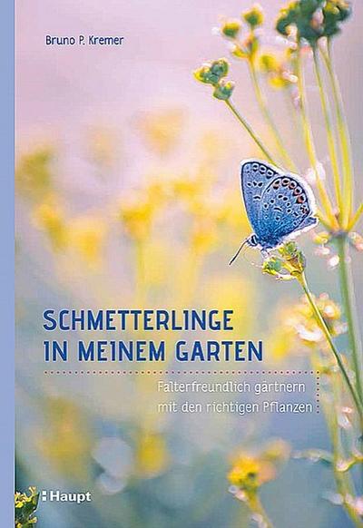 Schmetterlinge in meinem Garten