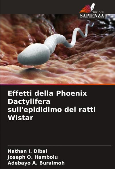 Effetti della Phoenix Dactylifera sull’epididimo dei ratti Wistar