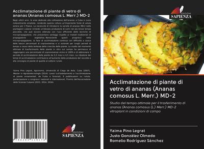 Acclimatazione di piante di vetro di ananas (Ananas comosus L. Merr.) MD-2