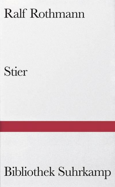 Stier