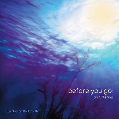 before you go