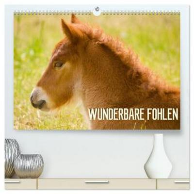 Wunderbare Fohlen (hochwertiger Premium Wandkalender 2026 DIN A2 quer), Kunstdruck in Hochglanz
