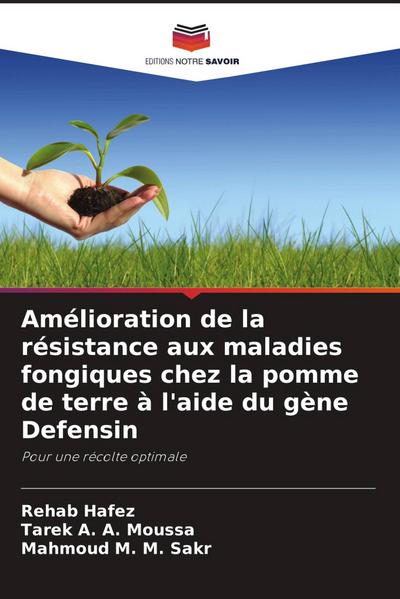 Amélioration de la résistance aux maladies fongiques chez la pomme de terre à l’aide du gène Defensin