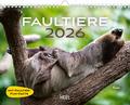 Faultiere Kalender 2026 Wandkalender von  | sonst. Bücher