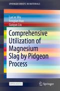 Comprehensive Utilization of Magnesium Slag by Pid