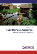Flood Damage Assessment