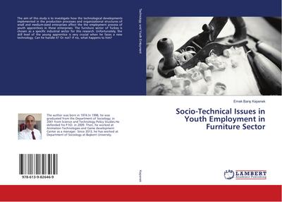 Socio-Technical Issues in Youth Employment in Furniture Sector
