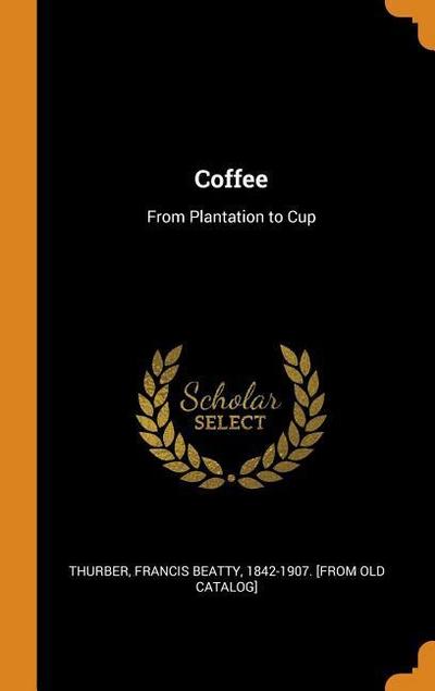 Coffee: From Plantation to Cup