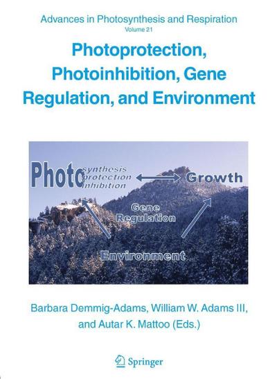 Photoprotection, Photoinhibition, Gene Regulation, and Environment