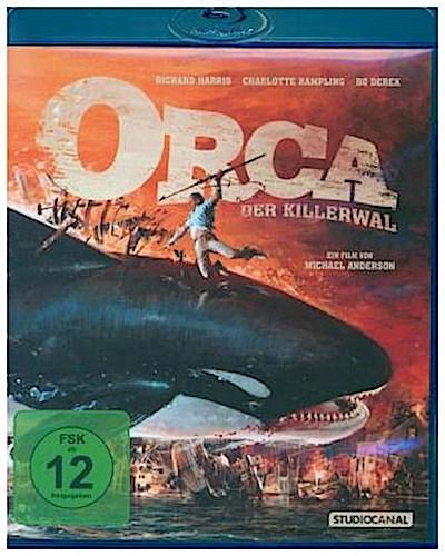 Orca der Killerwal