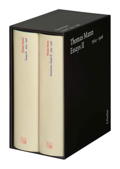 Essays 02. Große kommentierte Frankfurter Ausgabe 