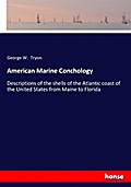 American Marine Conchology