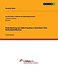 Risikohäufung bei CDM-Projekten in Brasilien? Eine Risikoidentifikation
