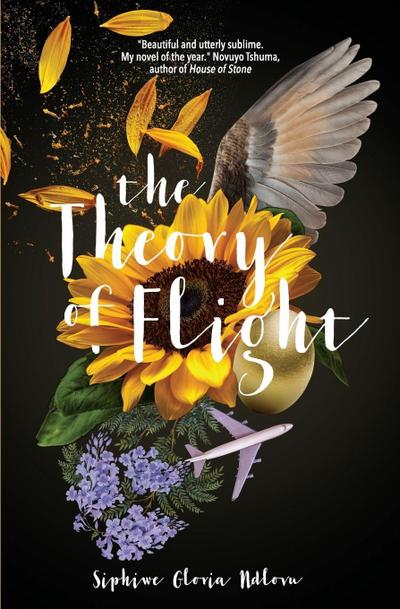 The Theory of Flight