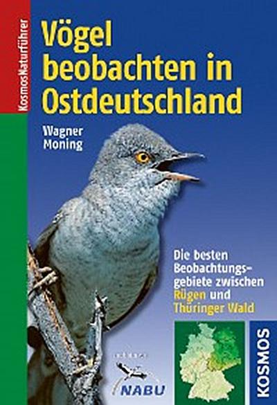 Vögel beobachten in Ostdeutschland