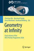 Geometry at Infinity