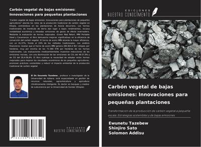 Carbón vegetal de bajas emisiones: Innovaciones para pequeñas plantaciones