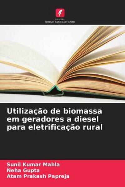 Utilização de biomassa em geradores a diesel para eletrificação rural