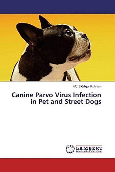 Canine Parvo Virus Infection in Pet and Street Dogs